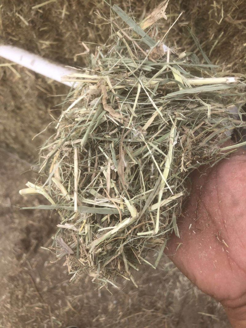 牛羊草草块牛羊饲料舔块舔砖常年供货
