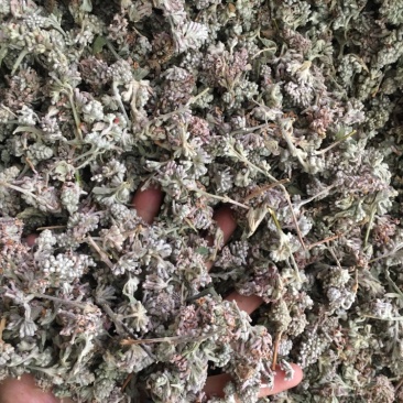 密蒙花新货密蒙花密蒙花药材品种齐全下单可咨询