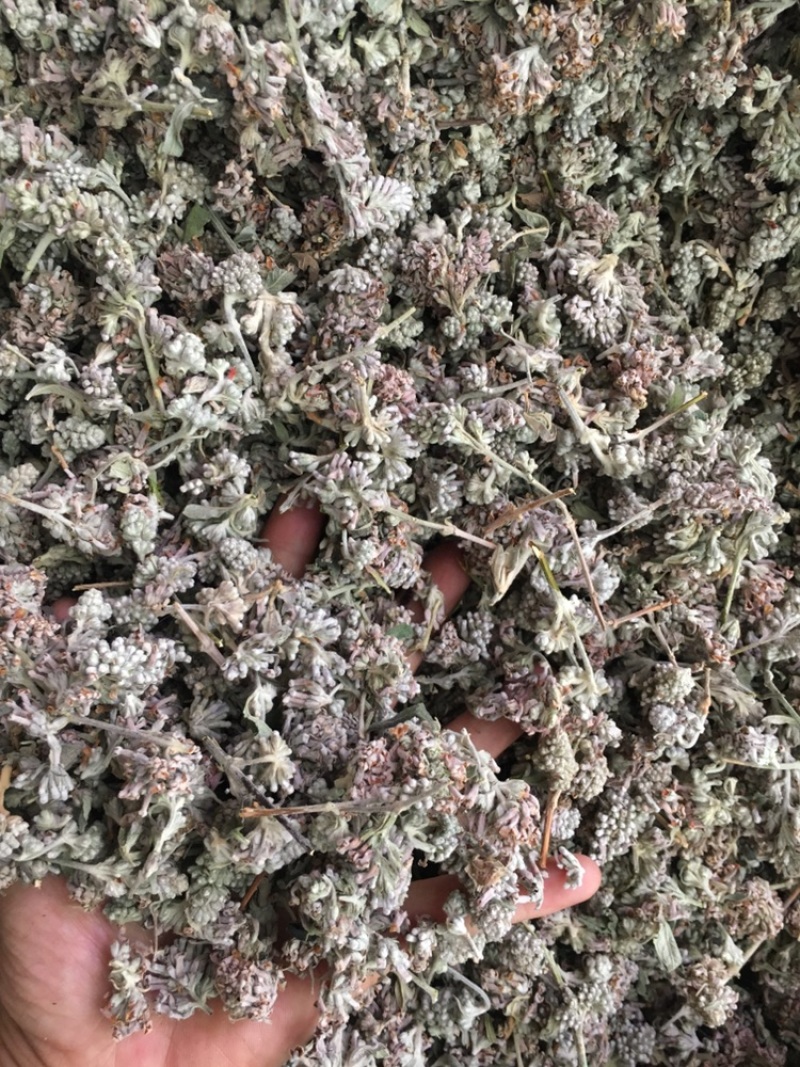 密蒙花新货密蒙花密蒙花药材品种齐全下单可咨询