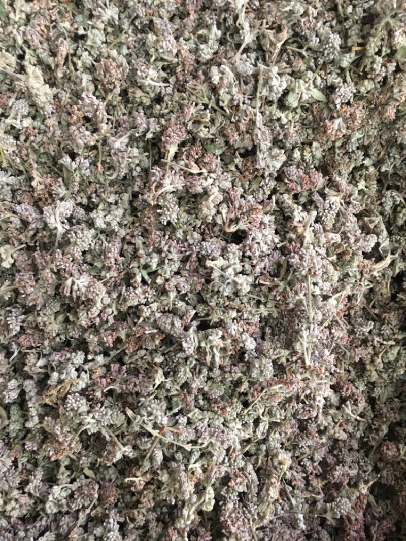 密蒙花新货密蒙花密蒙花药材品种齐全下单可咨询
