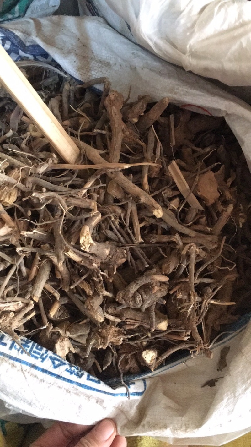 羊耳菊羊耳菊偏方冷门药材批发零售