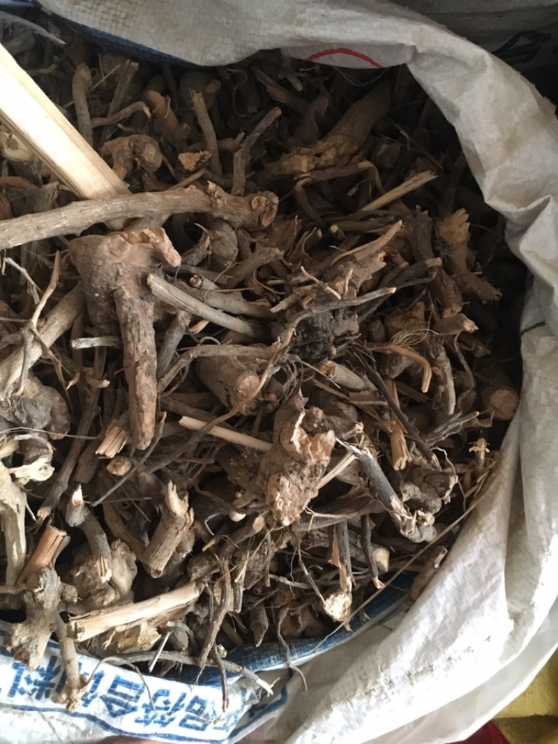 羊耳菊羊耳菊偏方冷门药材批发零售