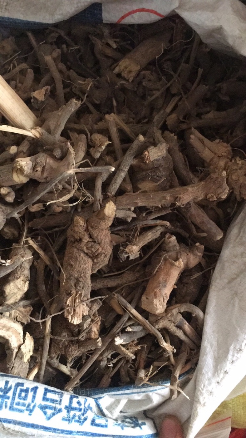 羊耳菊羊耳菊偏方冷门药材批发零售
