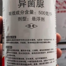 杀菌剂异菌脲富美实扑海因灰霉病早疫病斑点落叶病