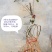 日本达摩栀子花丸叶栀子花提根栀子花