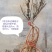 日本达摩栀子花丸叶栀子花提根栀子花