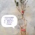 日本达摩栀子花丸叶栀子花提根栀子花