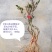 日本达摩栀子花丸叶栀子花提根栀子花