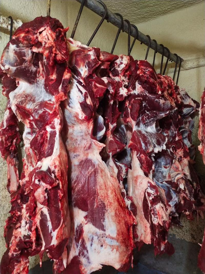 【非注水纯干鲜牛肉】屠宰纯干鲜牛肉严格按伊斯兰教方法