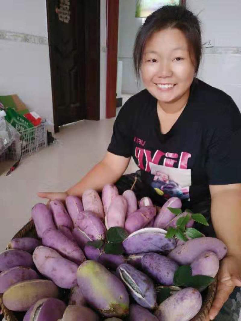 八月瓜苗（少籽，紫果，48小时内发货），包成活包售后服务