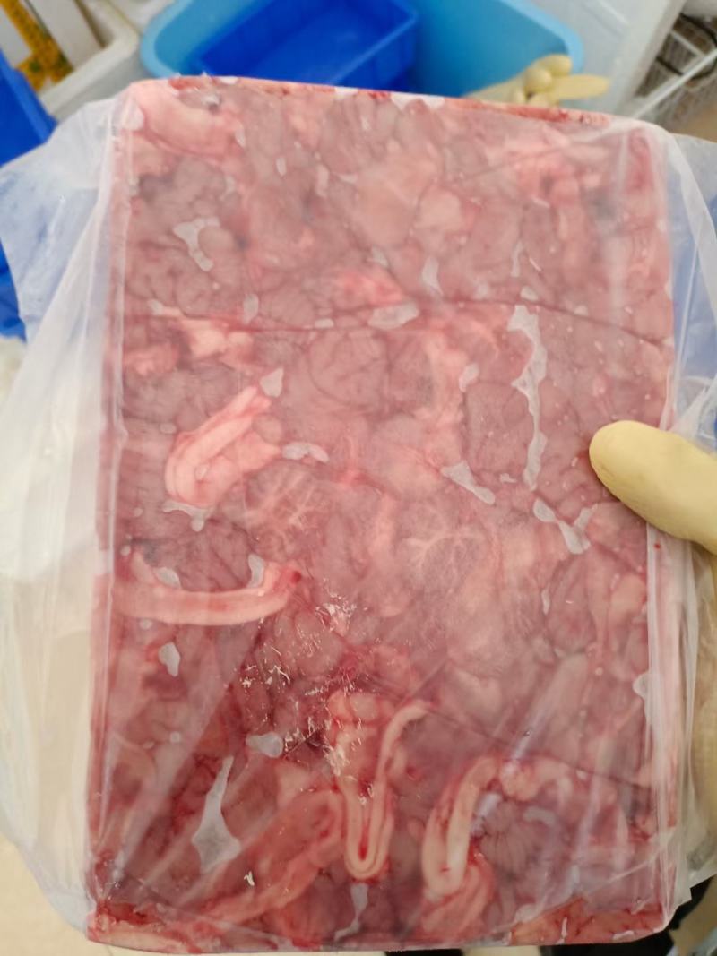 猪脑，鲜冻猪脑，广东开边脑
