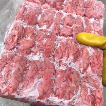 猪脑，鲜冻猪脑，广东开边脑