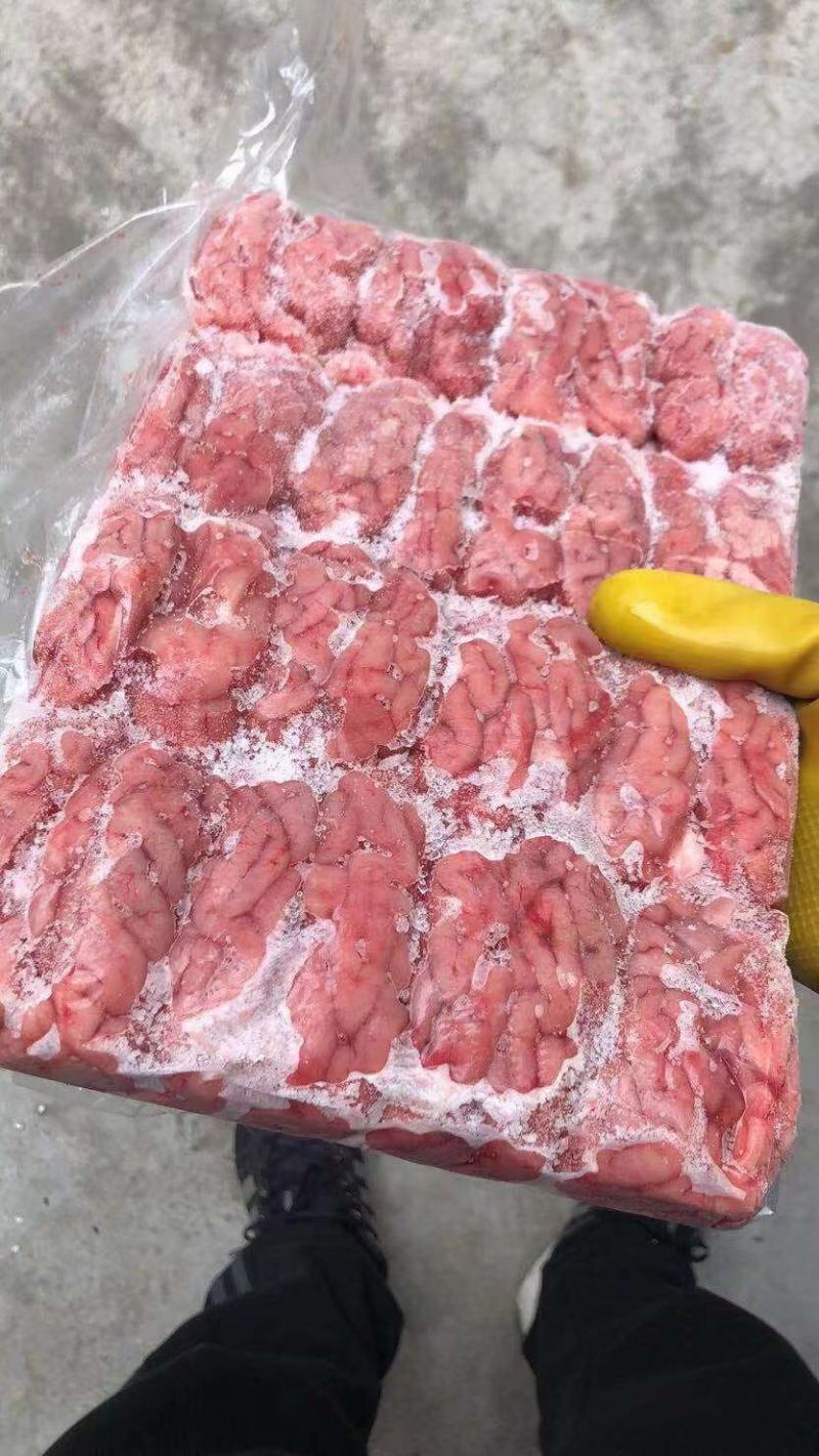 猪脑，鲜冻猪脑，广东开边脑