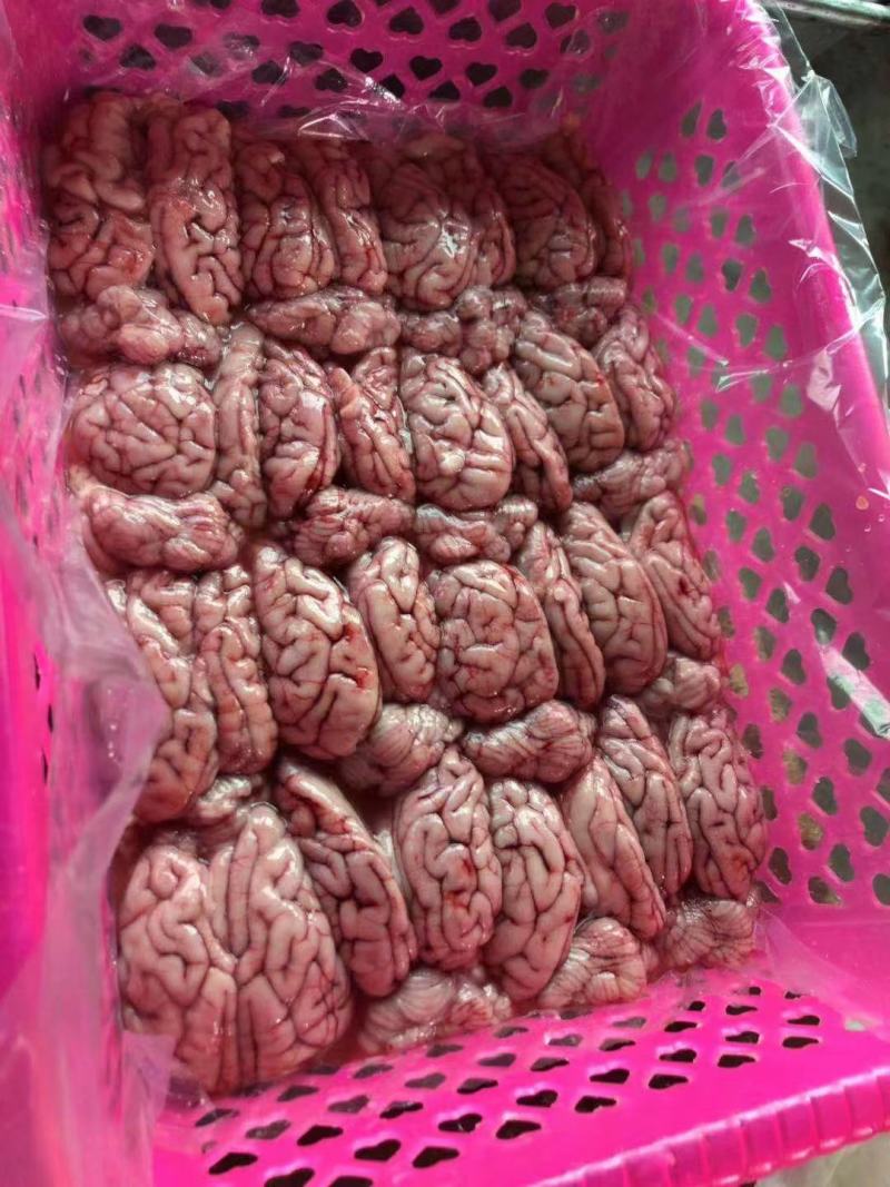 猪脑，鲜冻猪脑，广东开边脑