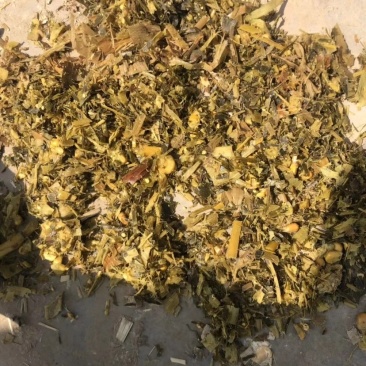 玉米青贮纯进口机器破碎