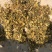 玉米青贮纯进口机器破碎