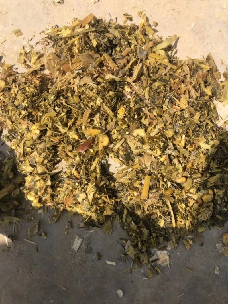 玉米青贮纯进口机器破碎