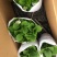 无尽夏绣球花苗八仙花盆栽庭院阳台室内耐寒植物四季开花好养
