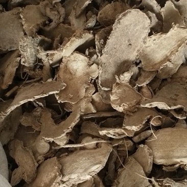 温莪术片福建货欢迎来电
