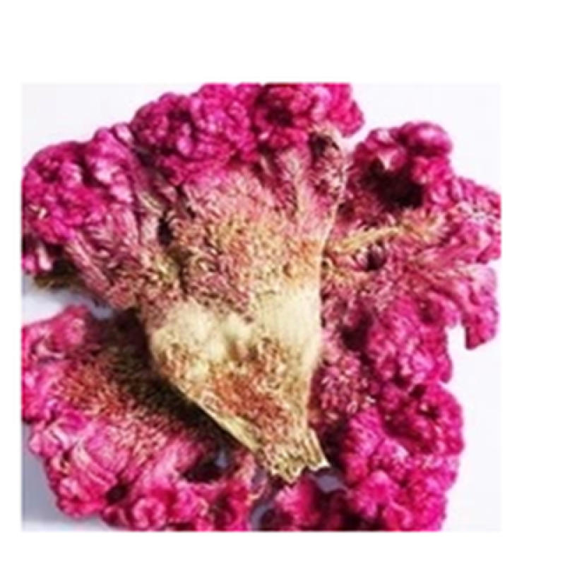 现磨野生中药材超细鸡冠花粉红鸡冠花粉白鸡冠花粉