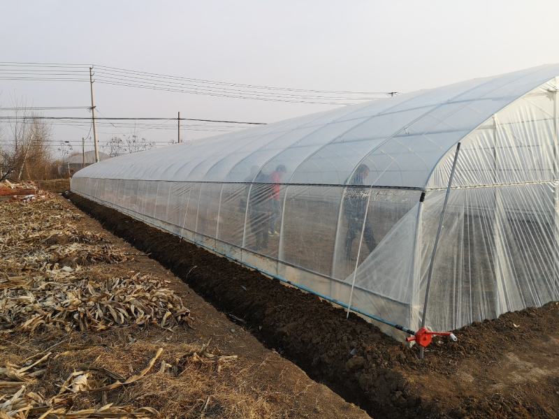 成套种植温室大棚规格齐全质保全国发货