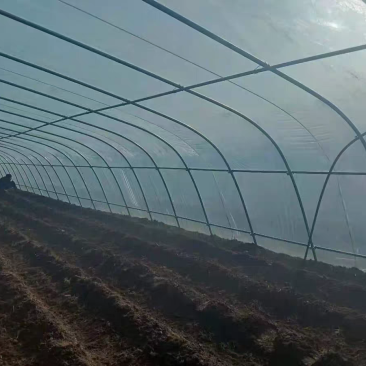 蔬菜种植大棚钢管型号齐全全国发货包建