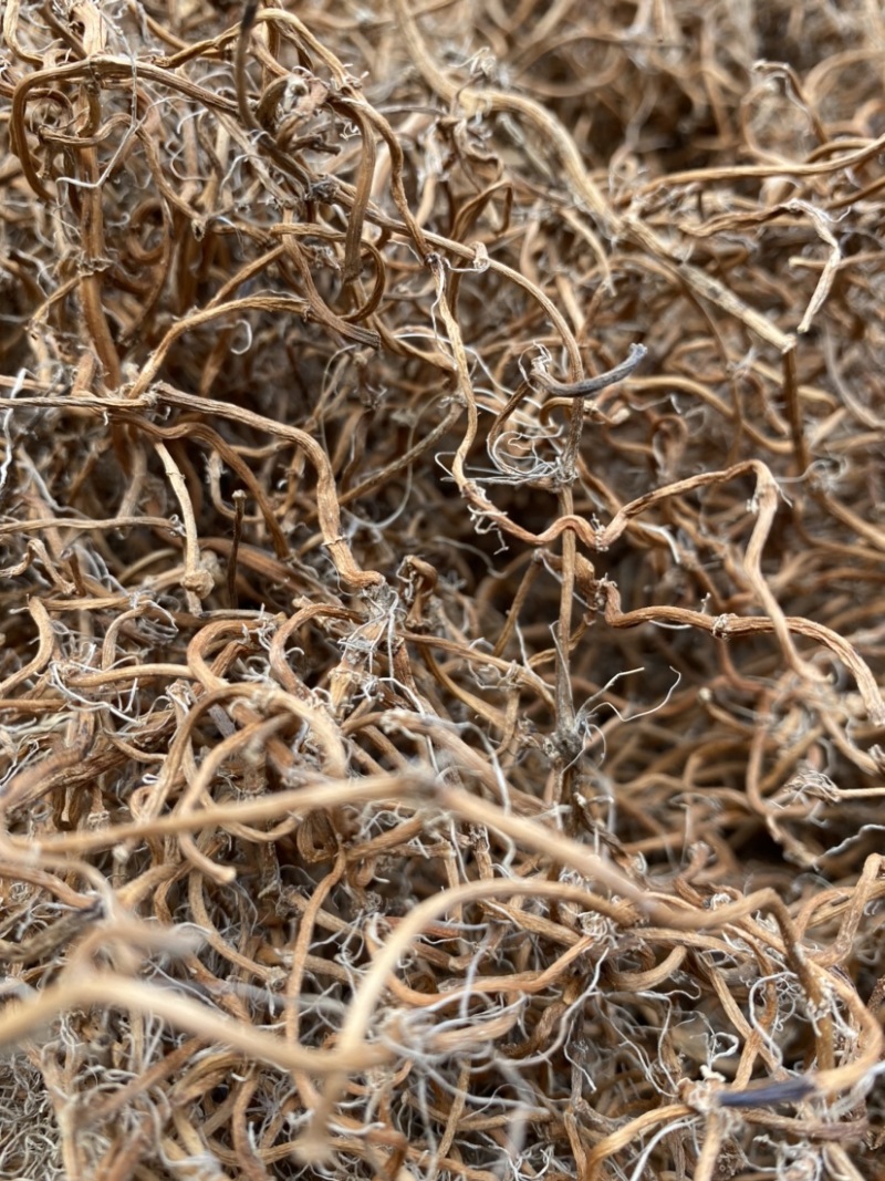 鱼腥草干根自然晒干无添加湖北当阳基地直供折耳根干根