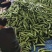 黄瓜每天可以出货30万斤