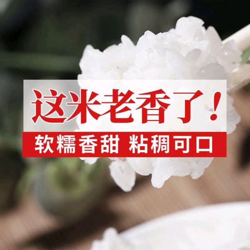 农场种植水稻，常年供应！
