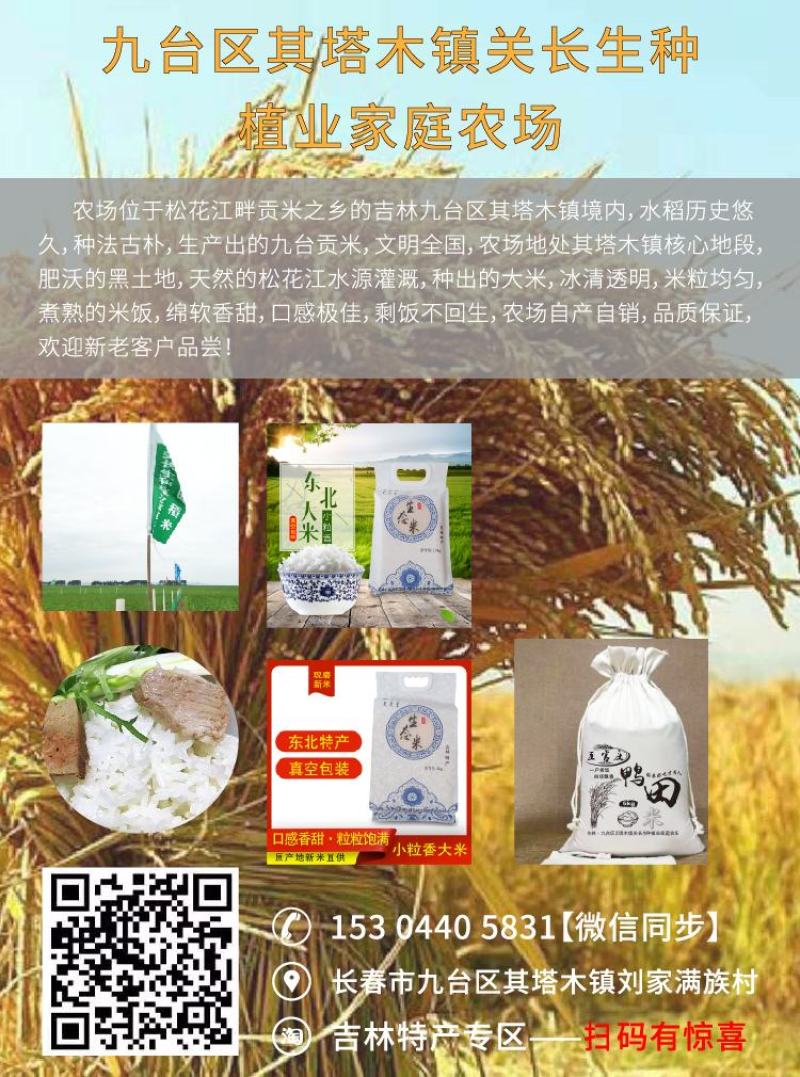 农场种植水稻，常年供应！