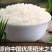 农场种植水稻，常年供应！