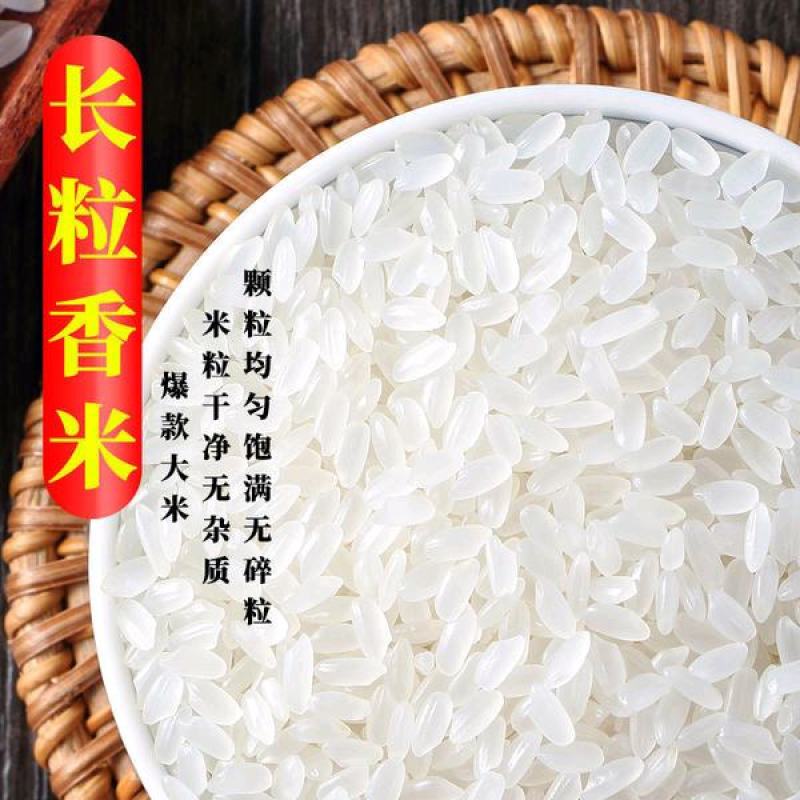 农场种植水稻，常年供应！