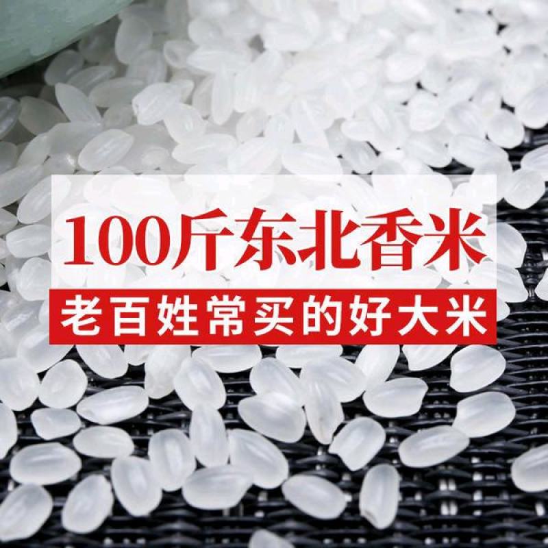 农场种植水稻，常年供应！