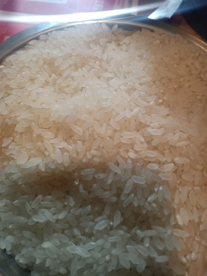 农场种植水稻，常年供应！