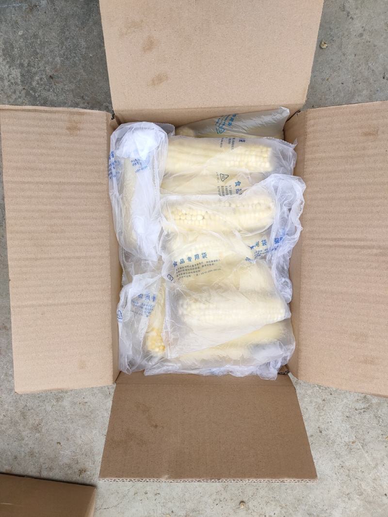 荐】甜粘玉米，品种多，口感好，价格美丽，货源充足可开发票
