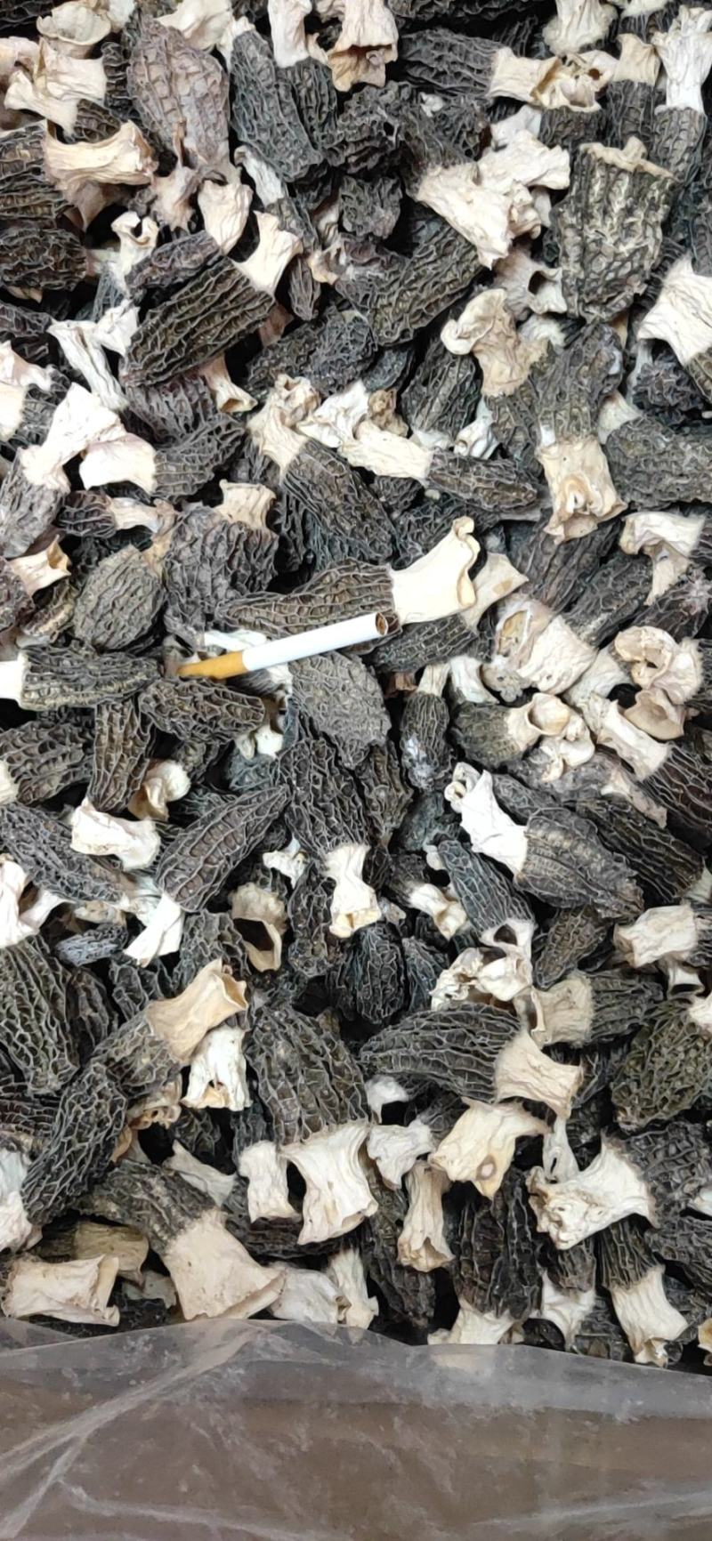 羊肚菌3~5，5~7，7~9精品