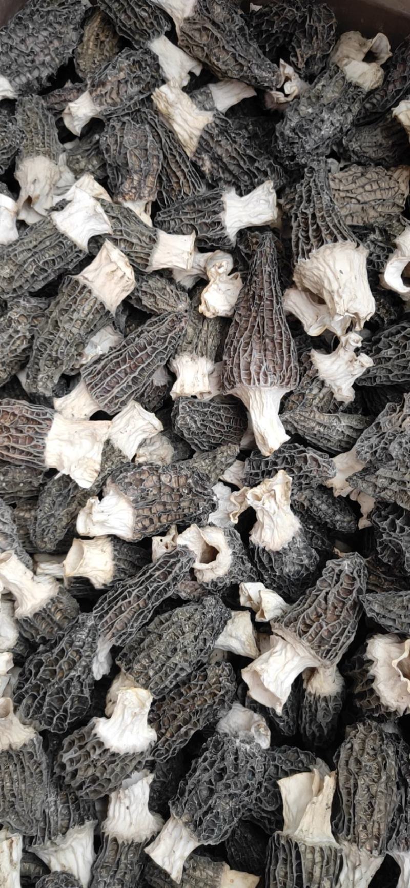 羊肚菌3~5，5~7，7~9精品