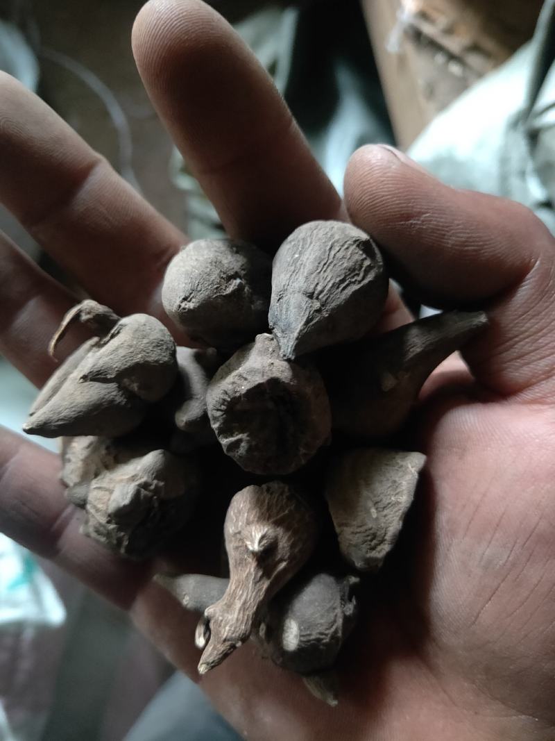 选货黄片货黑片货规格全质量优要多优惠