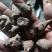 选货黄片货黑片货规格全质量优要多优惠