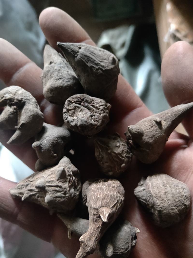 选货黄片货黑片货规格全质量优要多优惠