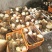 高山楠竹笋，一手货源，价格便宜，物美价廉，口感脆甜