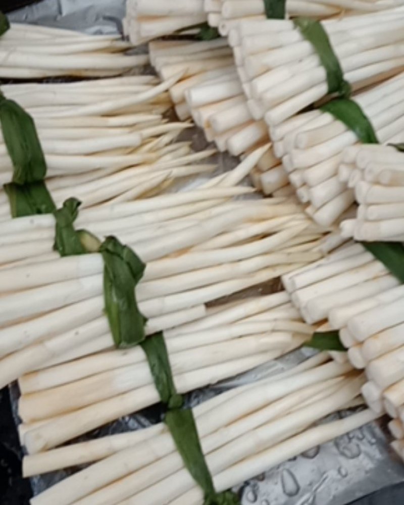 云南文山草牙象牙菜野菜特色菜真空包装新鲜