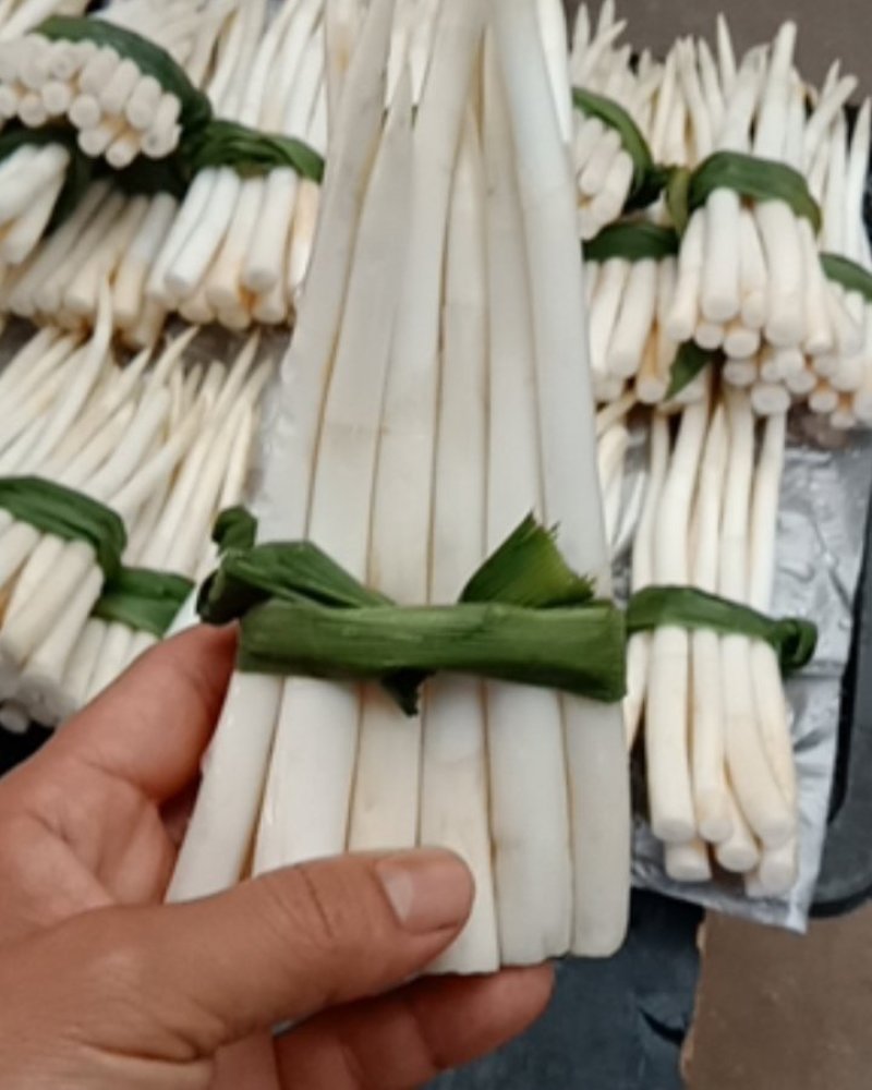 云南文山草牙象牙菜野菜特色菜真空包装新鲜