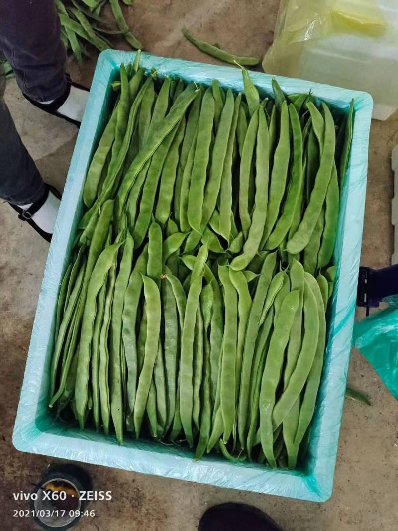 豆角大量上市，扁豆掉价了。