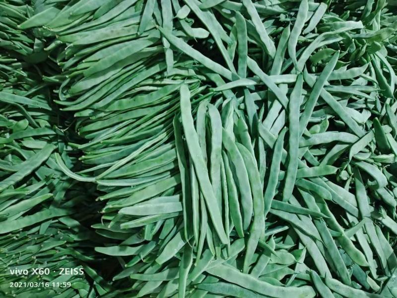 豆角大量上市，扁豆掉价了。
