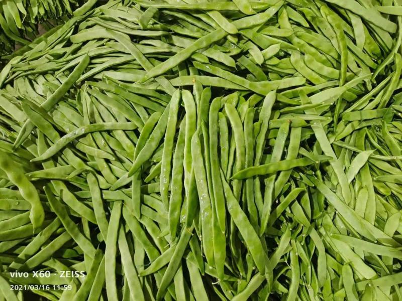 豆角大量上市，扁豆掉价了。