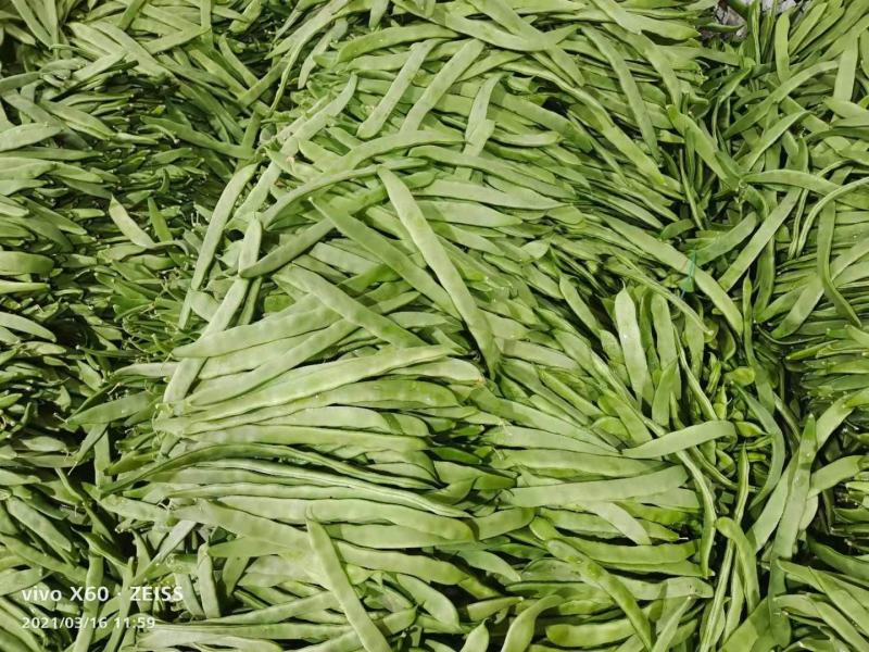 豆角大量上市，扁豆掉价了。