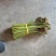 蕨菜高山生长野生蕨菜，无污染绿色食品