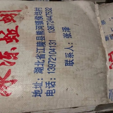 冰冻蚯蚓养殖开口料医药原材料可实地考察