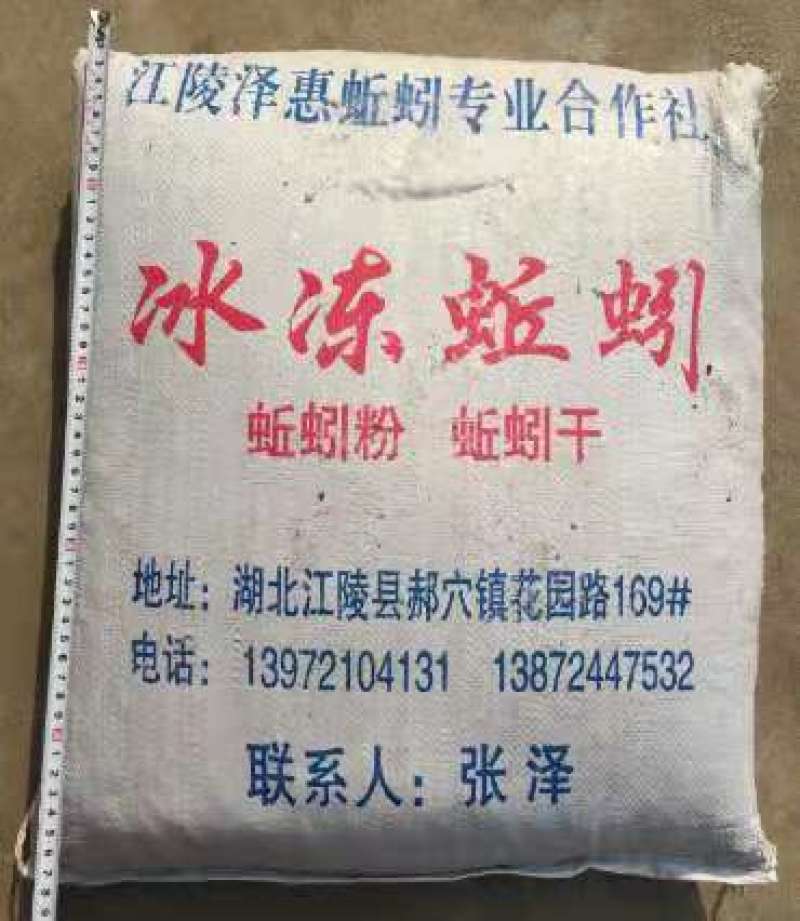 冰冻蚯蚓养殖开口料医药原材料可实地考察
